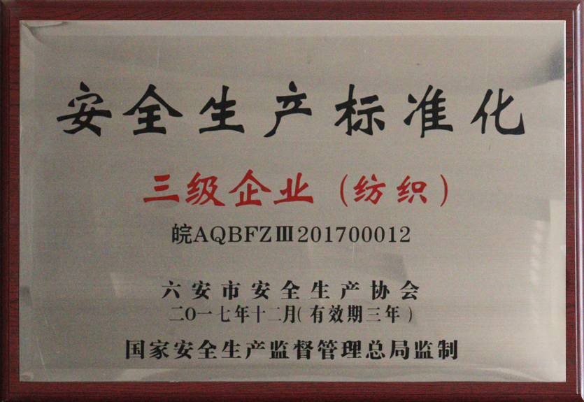 安全生產(chǎn)標(biāo)準(zhǔn)企業(yè)